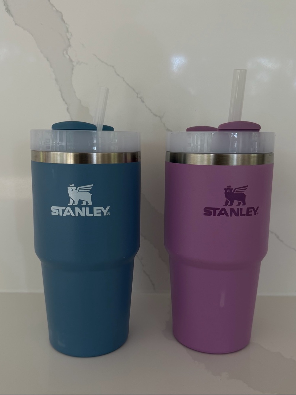 20oz Stanley Tumbler Set of 2 - Blue and Lavender